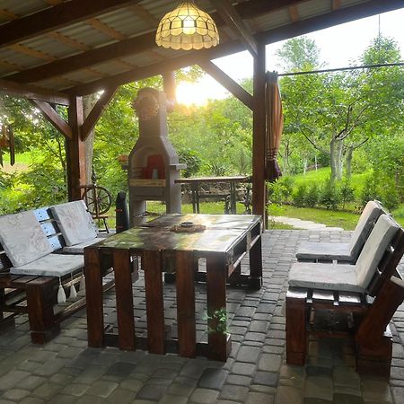 Hotel Окремий Будинок-Апартаменти Rakoshyno Kültér fotó