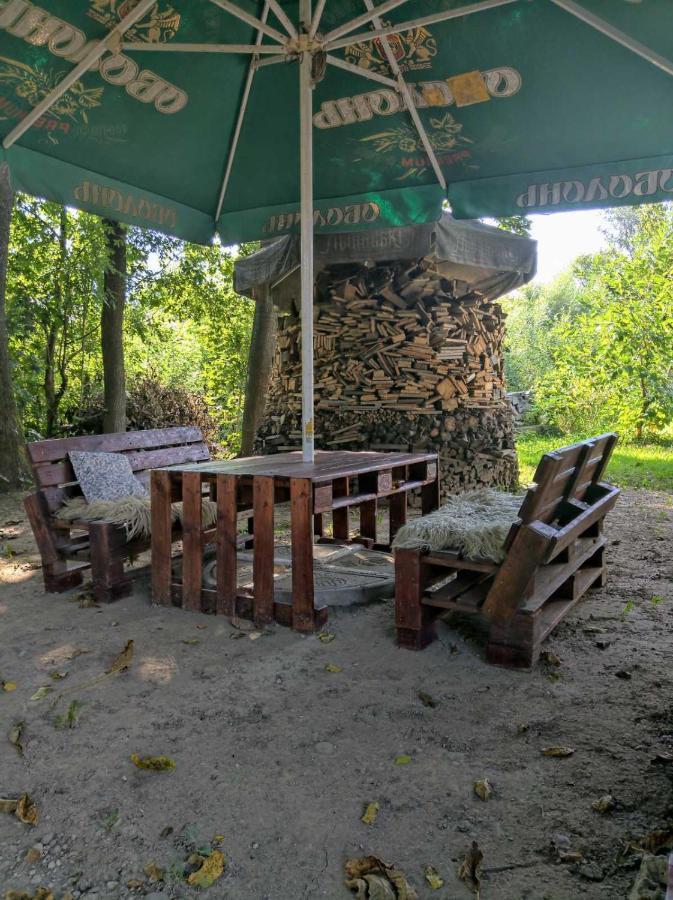 Hotel Окремий Будинок-Апартаменти Rakoshyno Kültér fotó