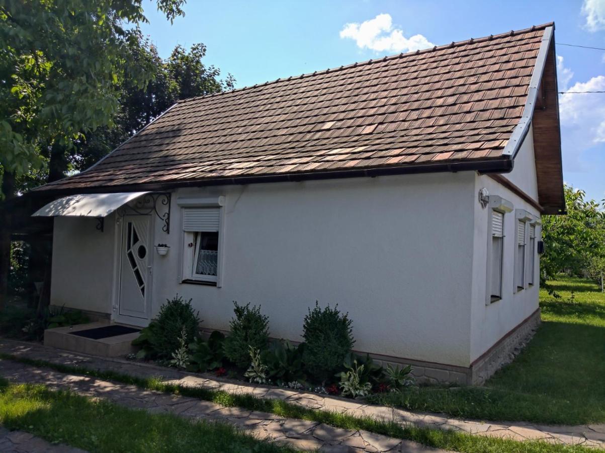 Hotel Окремий Будинок-Апартаменти Rakoshyno Kültér fotó