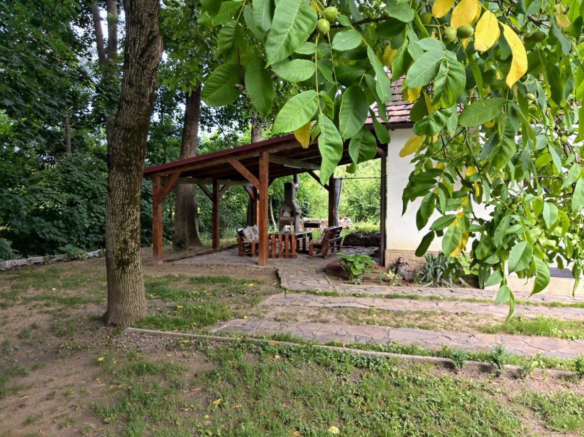 Hotel Окремий Будинок-Апартаменти Rakoshyno Kültér fotó